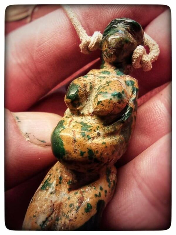 Reproduction de Venus – Image 2
