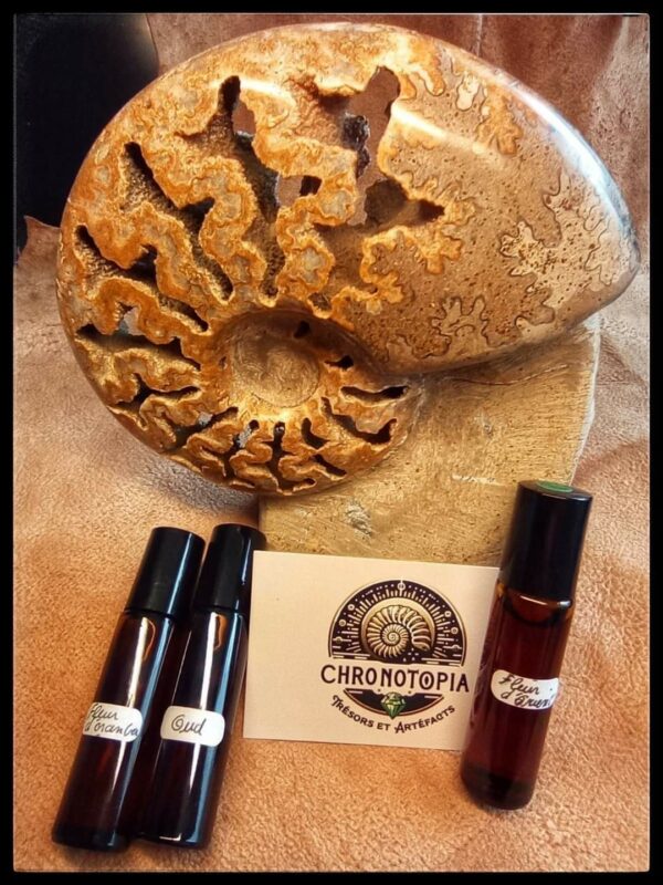 Essence Naturelle du Maroc – Image 2