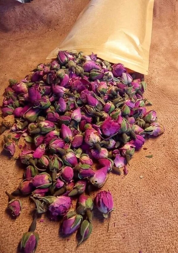 Boutons de rose de Damas – Image 2