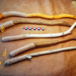 Baguettes magiques des 3 règnes .