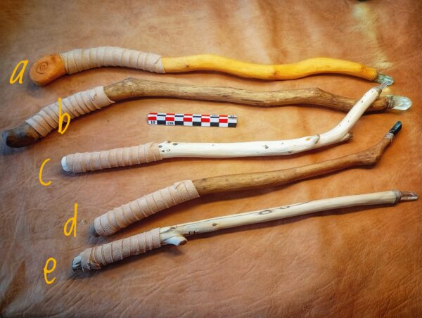 Baguettes magiques des 3 règnes .