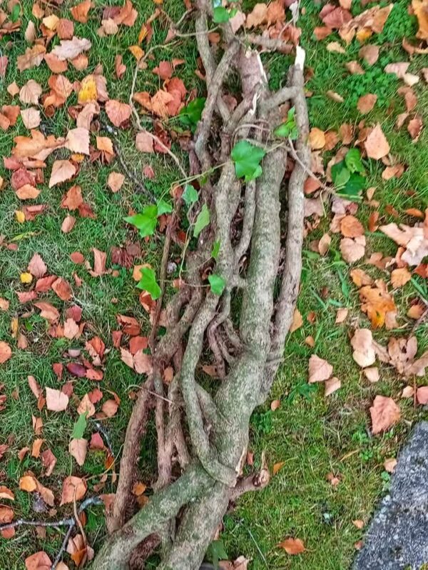 Doudou en bois. – Image 2